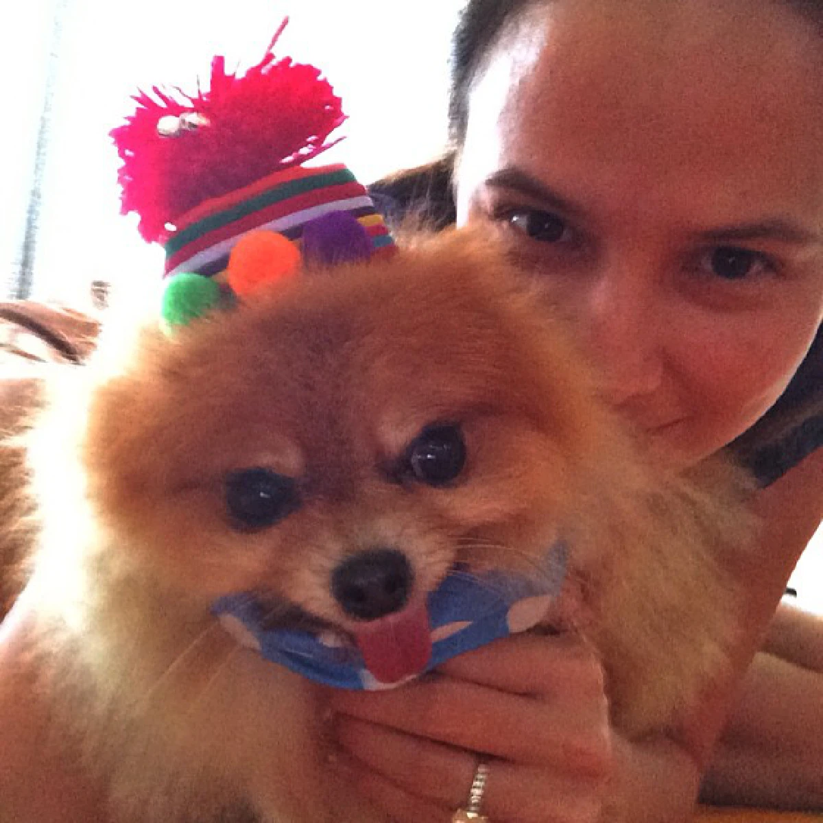 น่ารักโดนใจ..รวมสัตว์เลี้ยงซุปตาร์ มะหมาสี่ขาครับ!