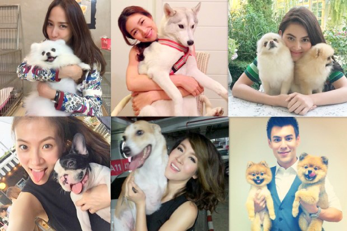 น่ารักโดนใจ..รวมสัตว์เลี้ยงซุปตาร์ มะหมาสี่ขาครับ! น่ารักโดนใจ..รวมสัตว์เลี้ยงซุปตาร์ มะหมาสี่ขาครับ!