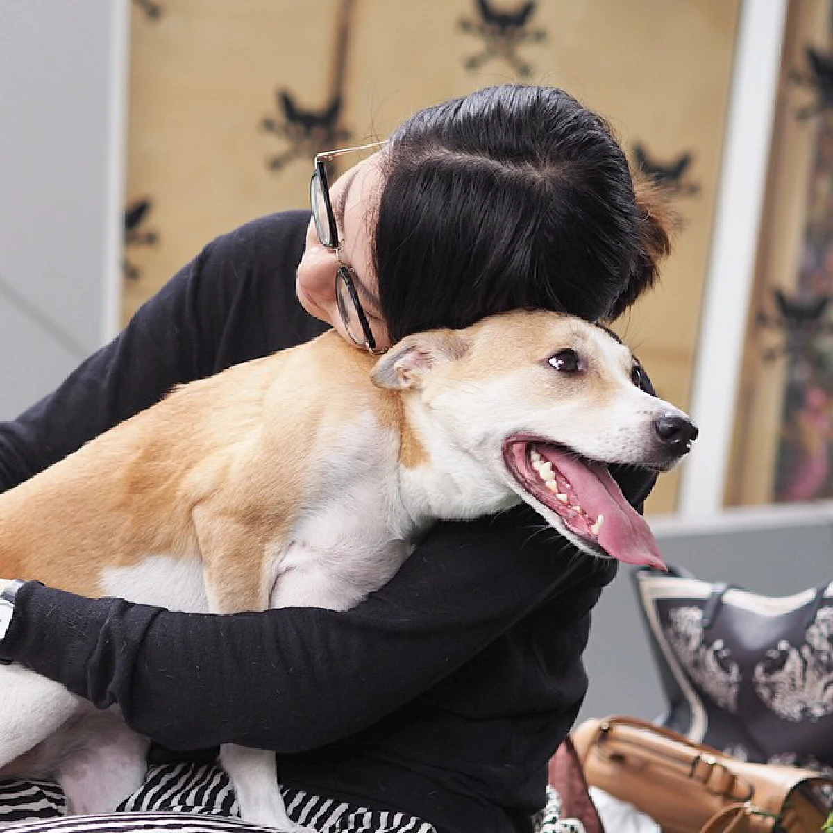 น่ารักโดนใจ..รวมสัตว์เลี้ยงซุปตาร์ มะหมาสี่ขาครับ!