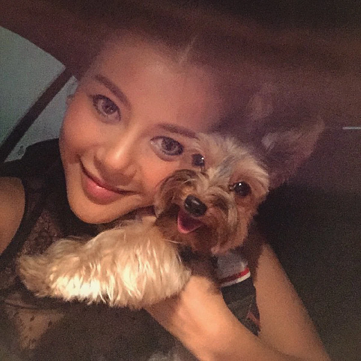 น่ารักโดนใจ..รวมสัตว์เลี้ยงซุปตาร์ มะหมาสี่ขาครับ!