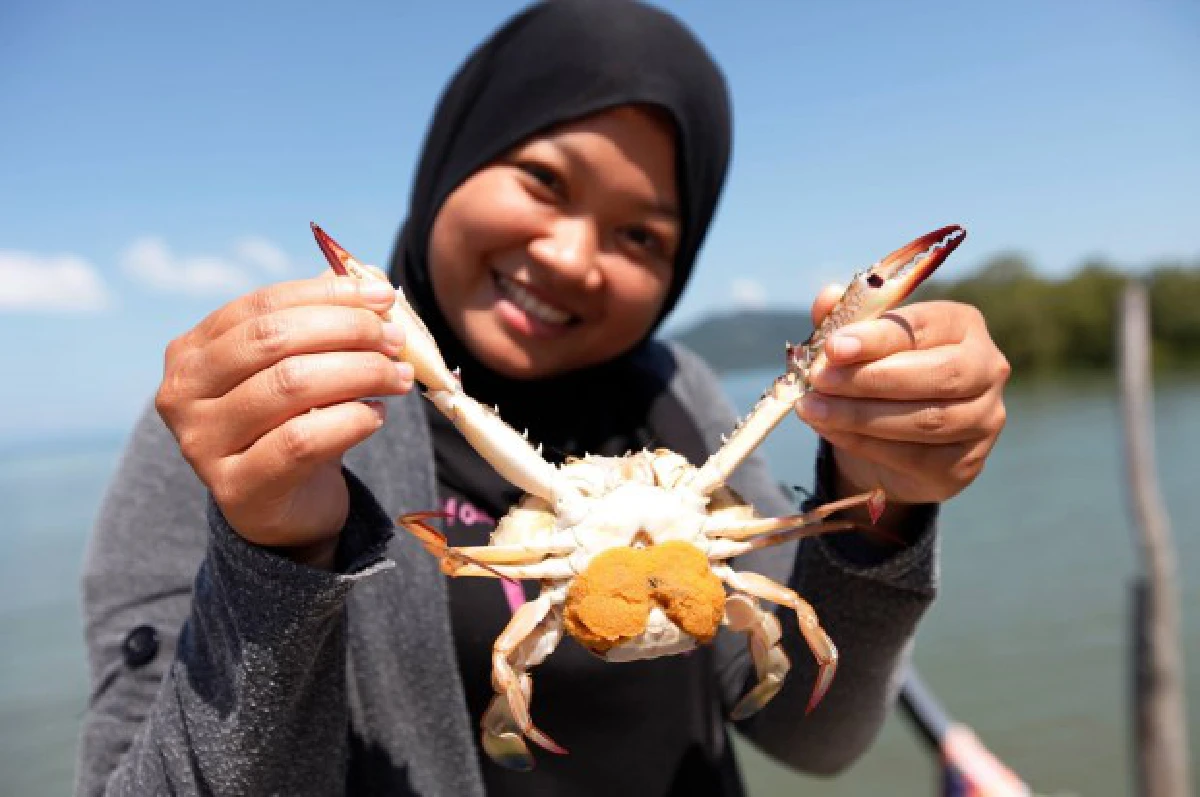 "พรบ.บริหารจัดการทรัพยากรทางทะเลและชายฝั่ง"...เพิ่มความมั่นคงให้ทรัพยากรทางทะเล