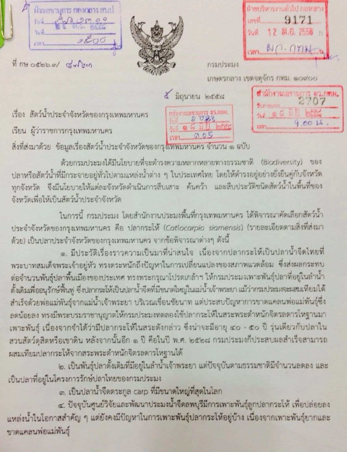 เลือก "ปลากระโห้" เป็นสัตว์น้ำประจำจังหวัดของกรุงเทพฯ