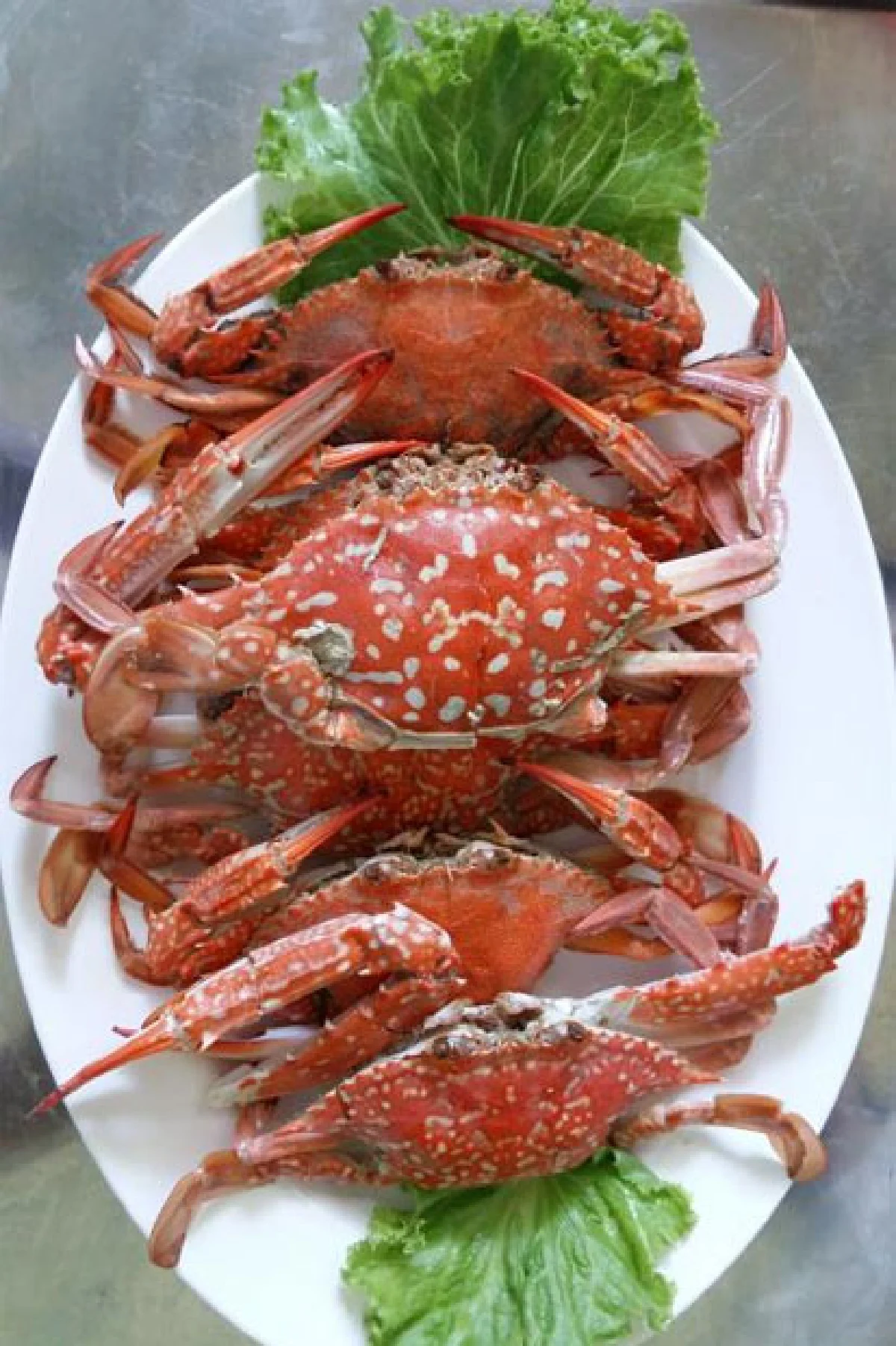 ครัวปลื้มจิตต์ อร่อยสดชิดทะเล