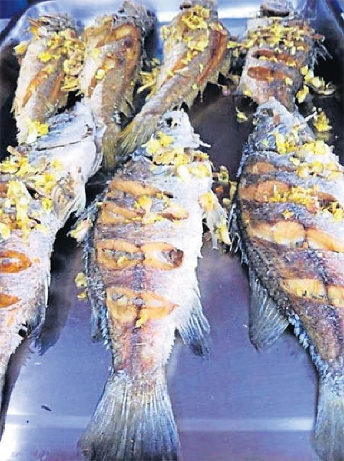 อาลีฟอิสลาม