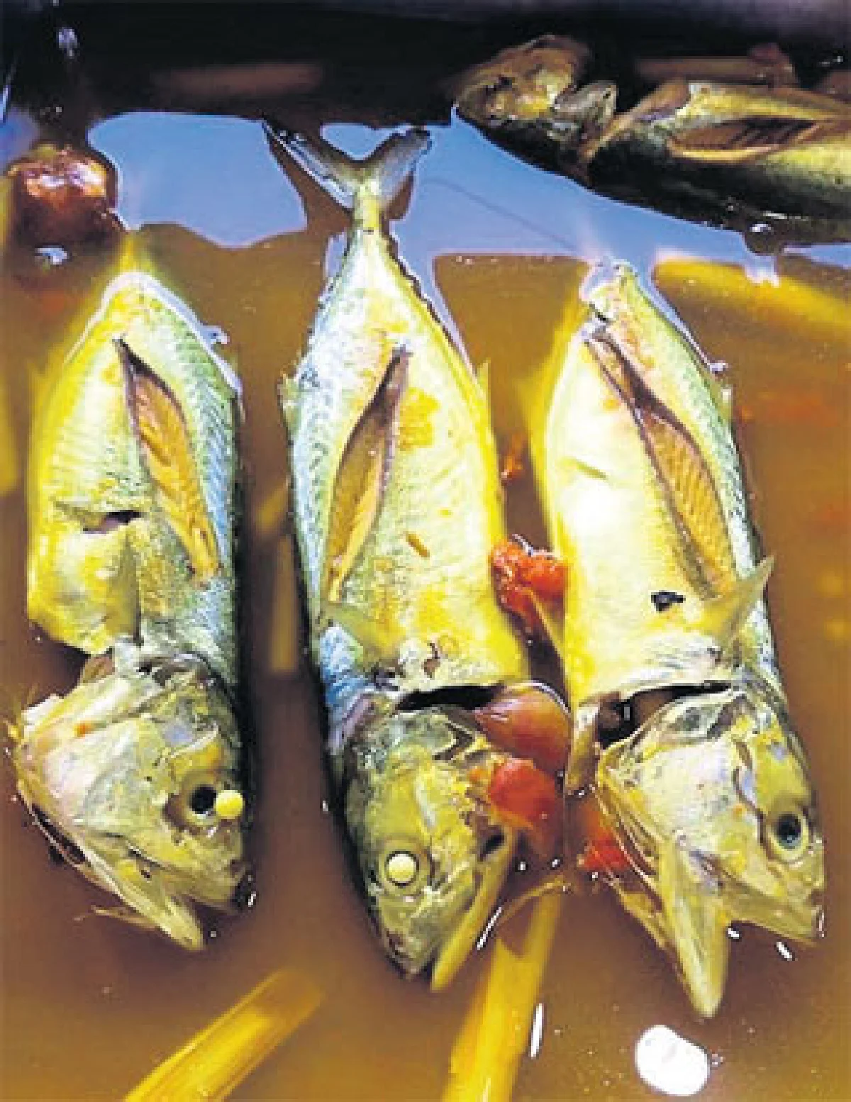 อาลีฟอิสลาม