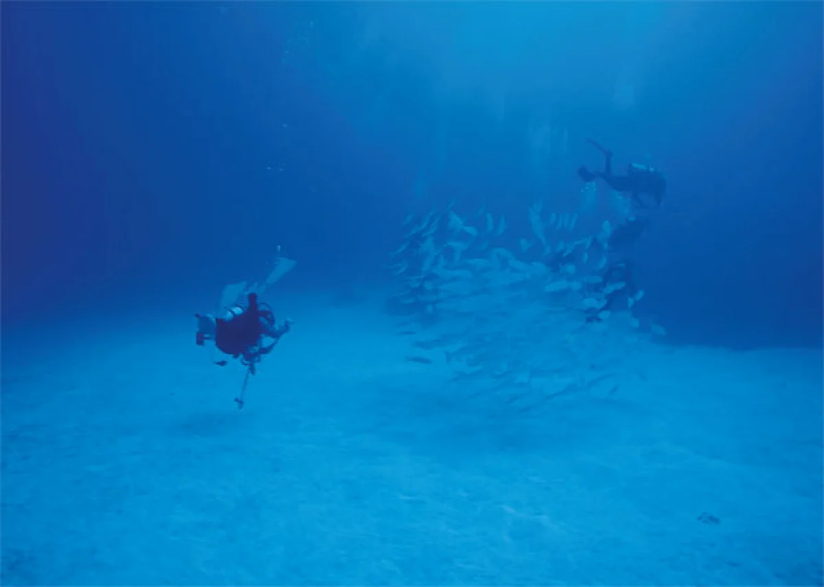 ย้อนรอยอุบัติเหตุเกือบตาย รอดได้เพราะ ‘สติ’