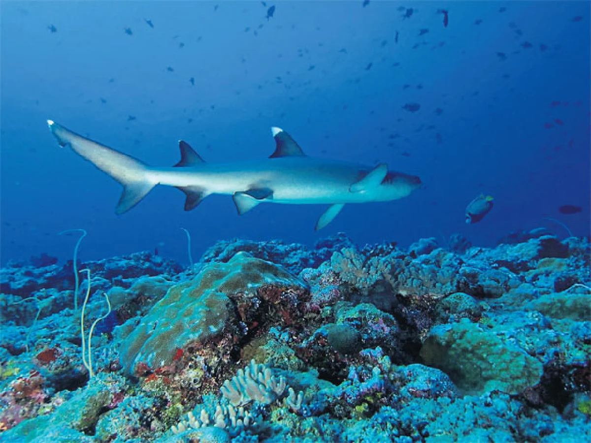 ย้อนรอยอุบัติเหตุเกือบตาย รอดได้เพราะ ‘สติ’