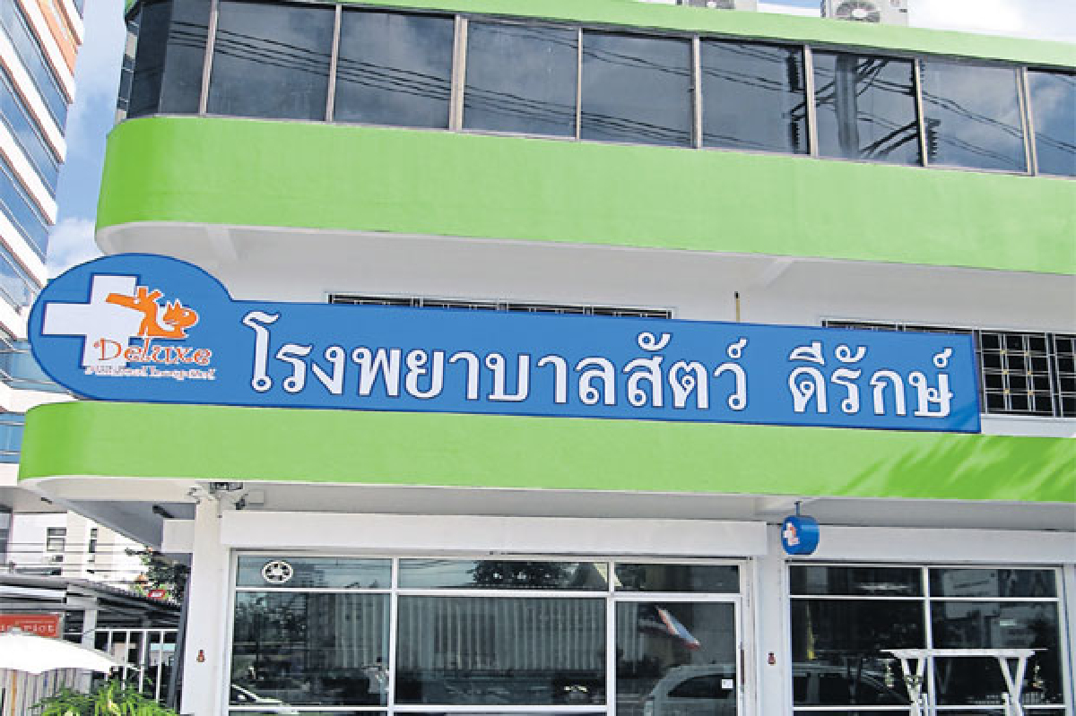 พาสัตว์เลี้ยงแสนรัก ไปดีรักษ์แล้วอุ่นใจ พาสัตว์เลี้ยงแสนรัก ไปดีรักษ์แล้วอุ่นใจ
