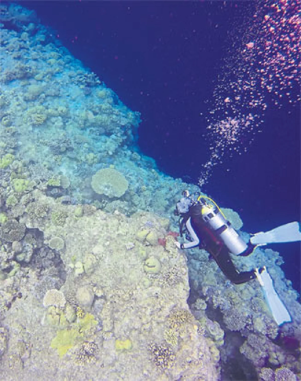 ย้อนรอยอุบัติเหตุเกือบตาย รอดได้เพราะ ‘สติ’