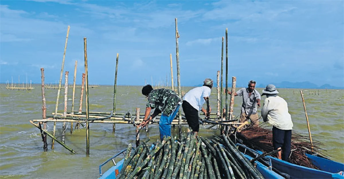 ฟื้นทะเลสาบสงขลา ทวงทะเลหลวงคืนโลมาอิรวดี
