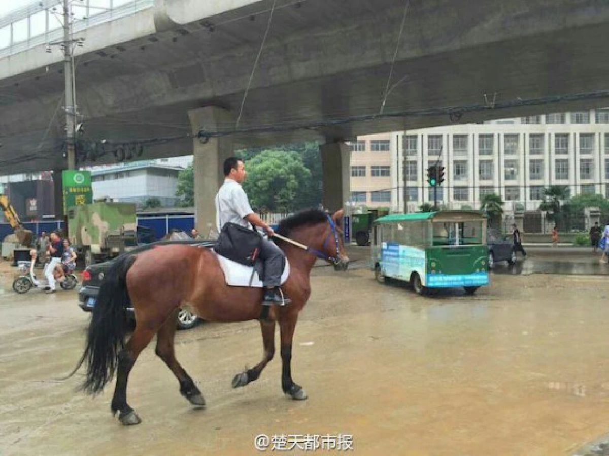 เท่เลย!ชายจีนเบื่อรถติด หันมา'ขี่ม้า'ไปทำงานแทน