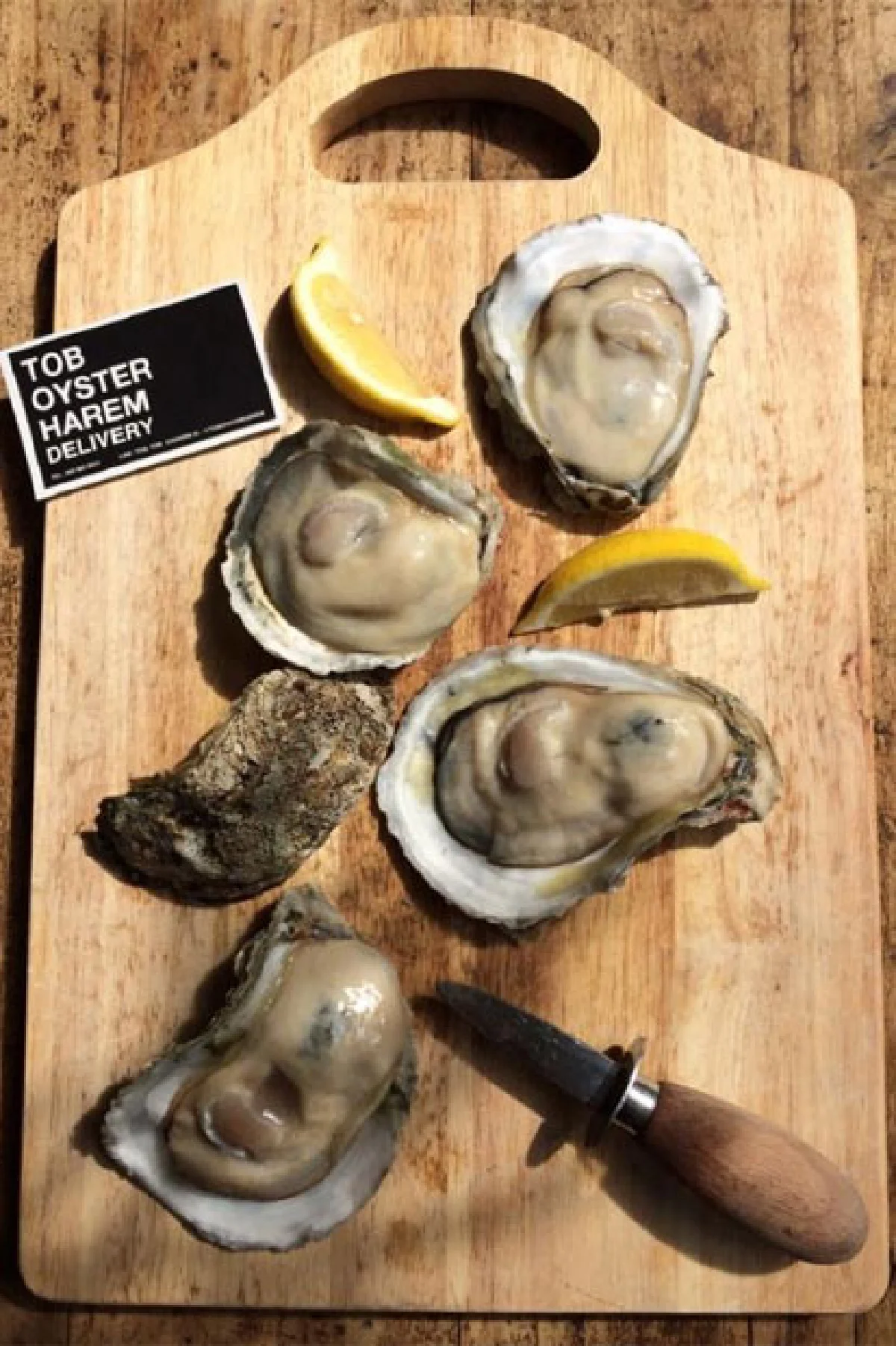 หอยนางรม ต๊อบ ออยสเตอร์ ฮาเร็ม สดใหม่แพ็กเกจเก๋ไก๋