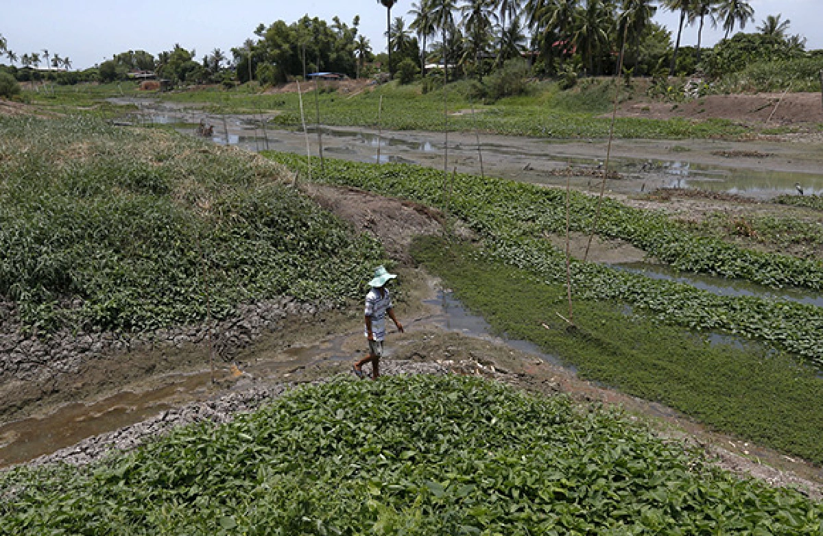 El Nino starting to bite in Asia