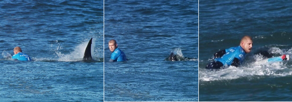 Surfing champ fights off shark during competition (with video)