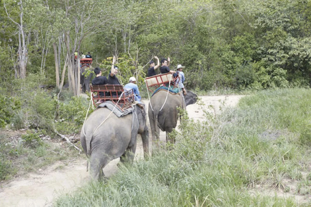 เร้าใจมือใหม่หัดลอง หัวหิน ซาฟารี แอนด์ แอดเวนเจอร์ พาร์ก