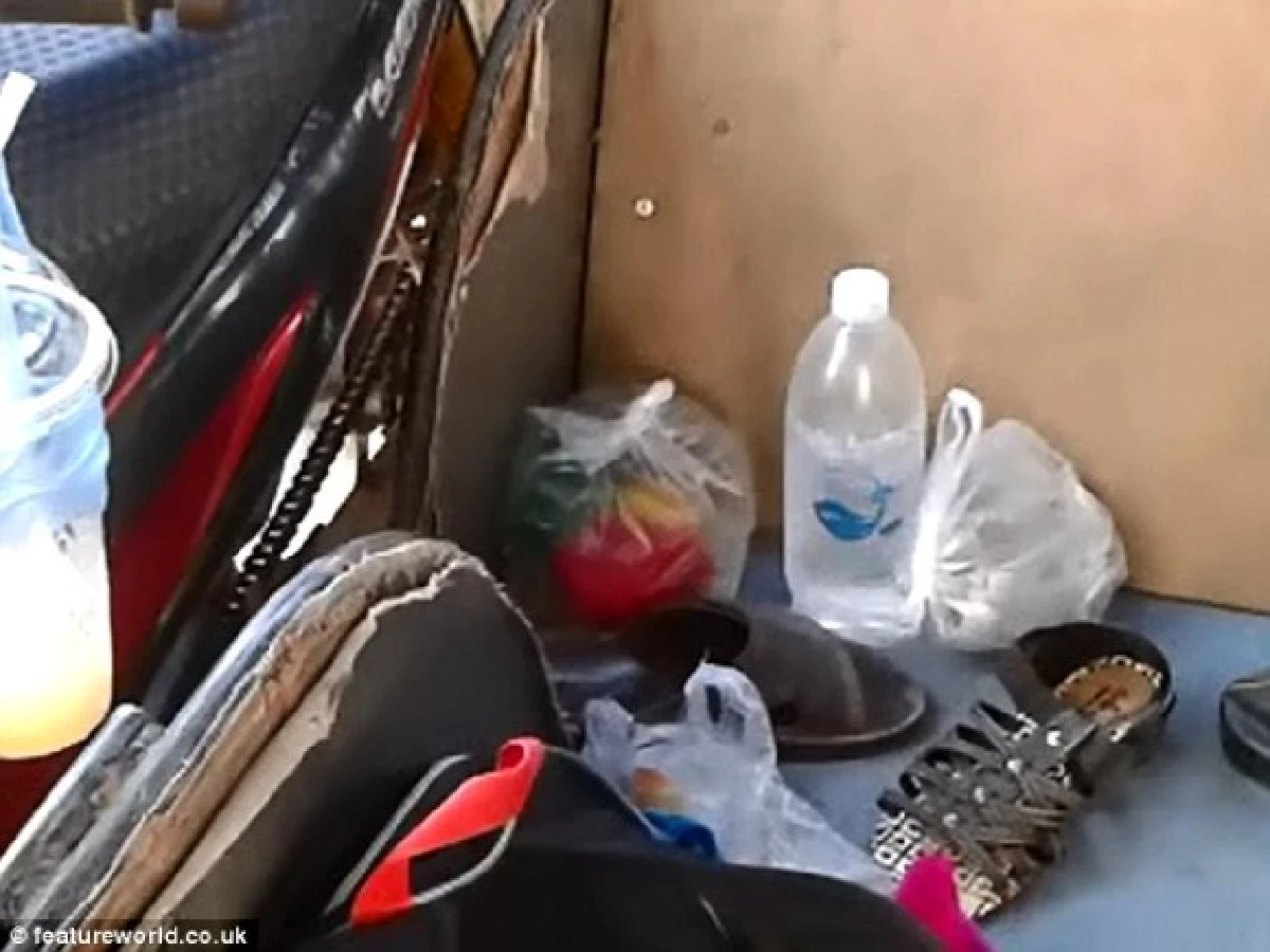 ฝรั่งถ่ายคลิปแฉพ่อค้าไทยจับลูกเจี๊ยบย้อมสี-ใส่ถุงพลาสติกขายเป็นของเล่น