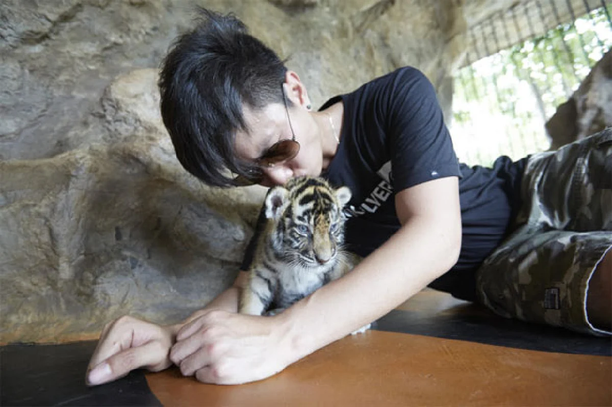 เร้าใจมือใหม่หัดลอง หัวหิน ซาฟารี แอนด์ แอดเวนเจอร์ พาร์ก