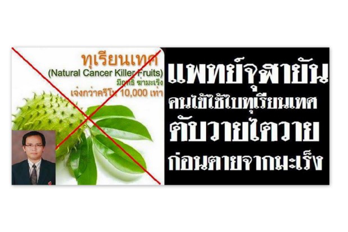 แพทย์เตือนกินใบทุเรียนเทศแก้มะเร็งไม่จริง!เสี่ยงตับ-ไตวาย แพทย์เตือนกินใบทุเรียนเทศแก้มะเร็งไม่จริง!เสี่ยงตับ-ไตวาย