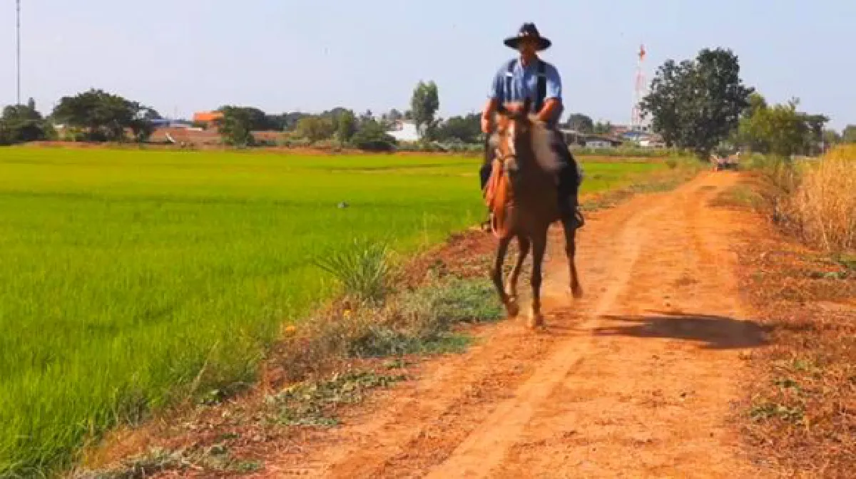 The Isan Cowboy