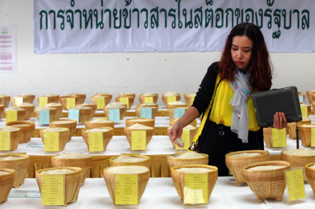 “ฉัตรชัย”ชะลอประมูลข้าวเน่า “ฉัตรชัย”ชะลอประมูลข้าวเน่า