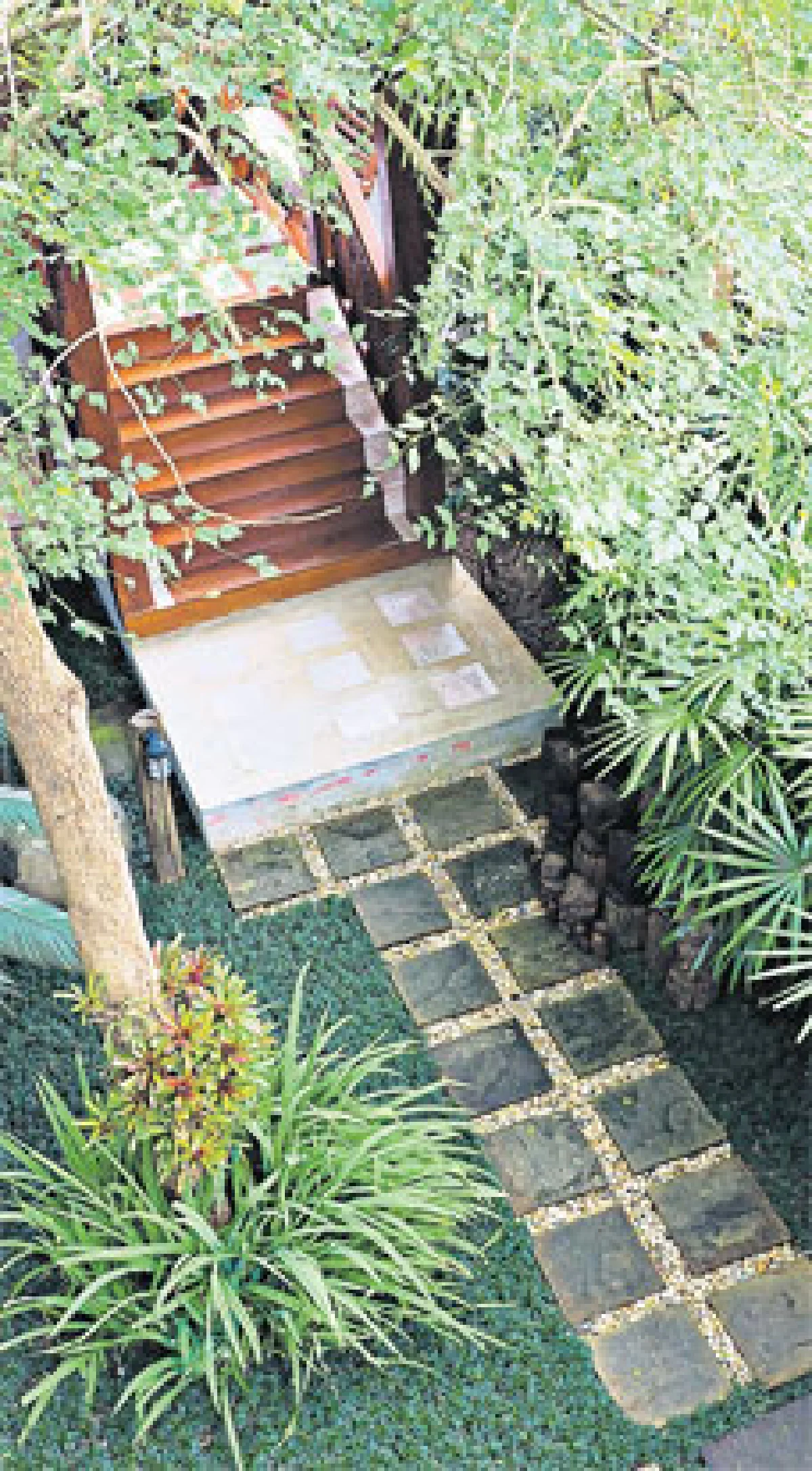 ทางเดินในสวน