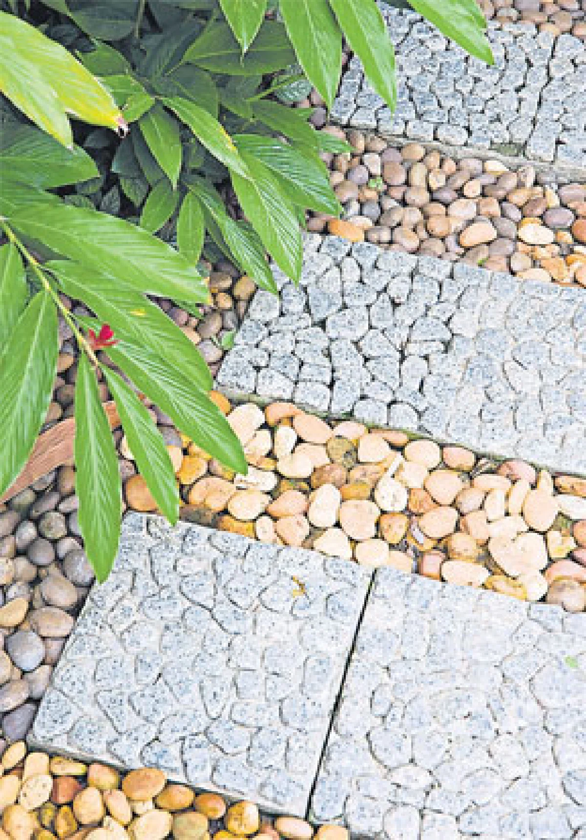 ทางเดินในสวน