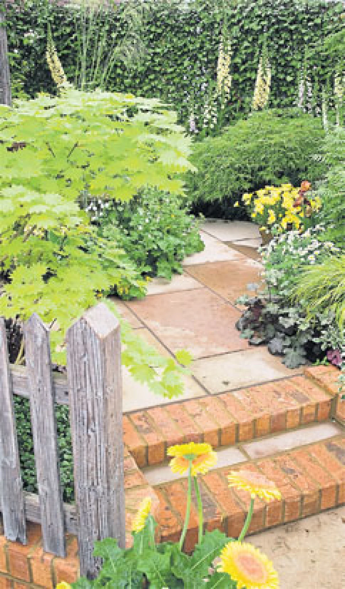 ทางเดินในสวน