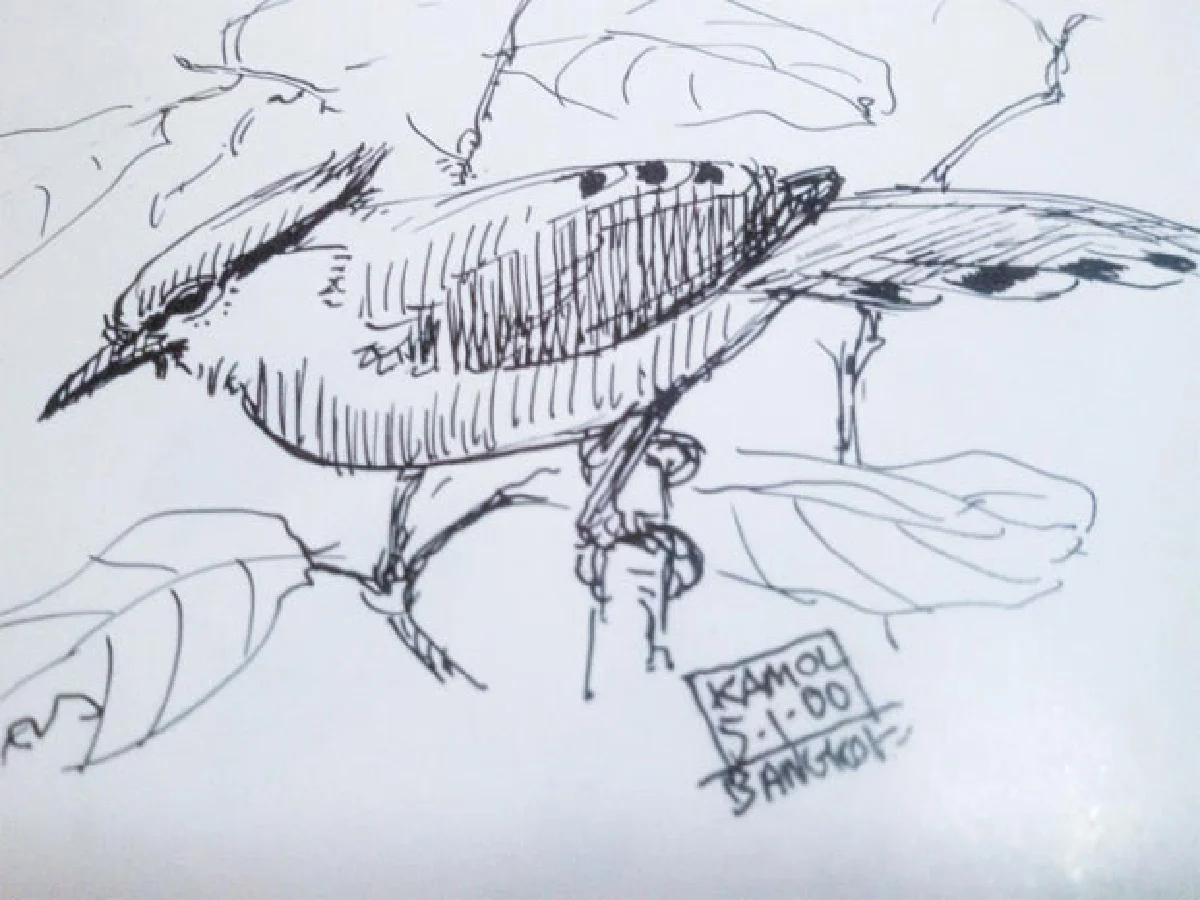 นกตัวโปรดตลอดกาล