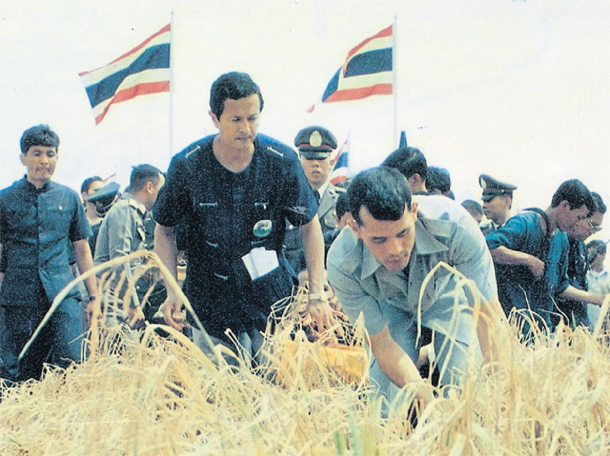 พระเสด็จมาโปรดฯ ชาวนาไทย