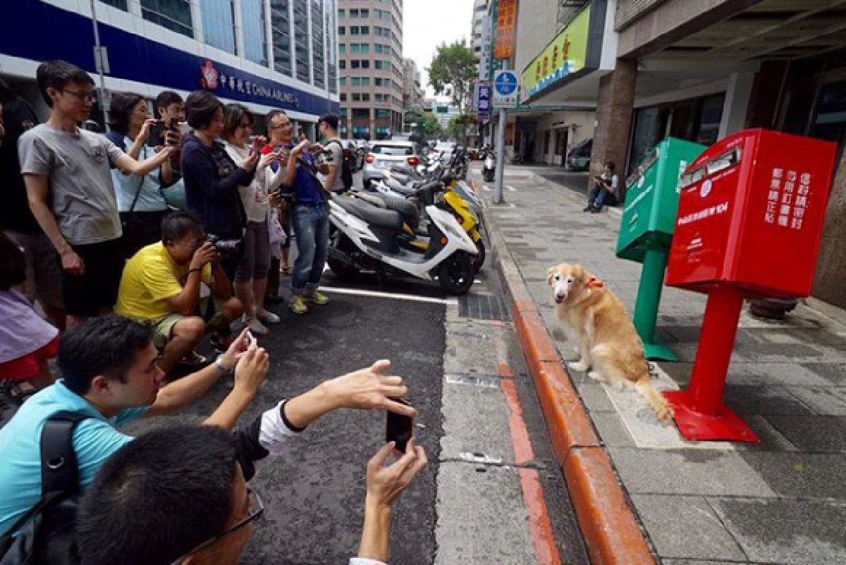 เก๋ๆ!ไต้หวันแห่ถ่ายรูป"ตู้ไปรษณีย์เอียงคู่"ผลพวงจากไต้ฝุ่น