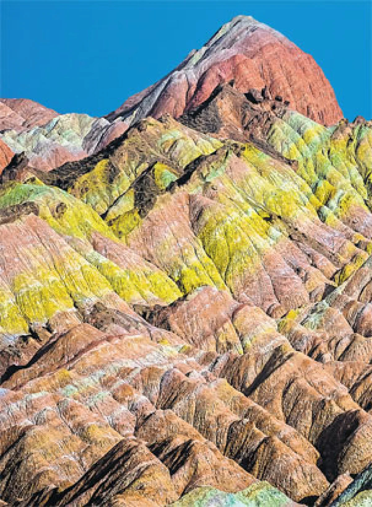 หมอวินตะลุยโลก