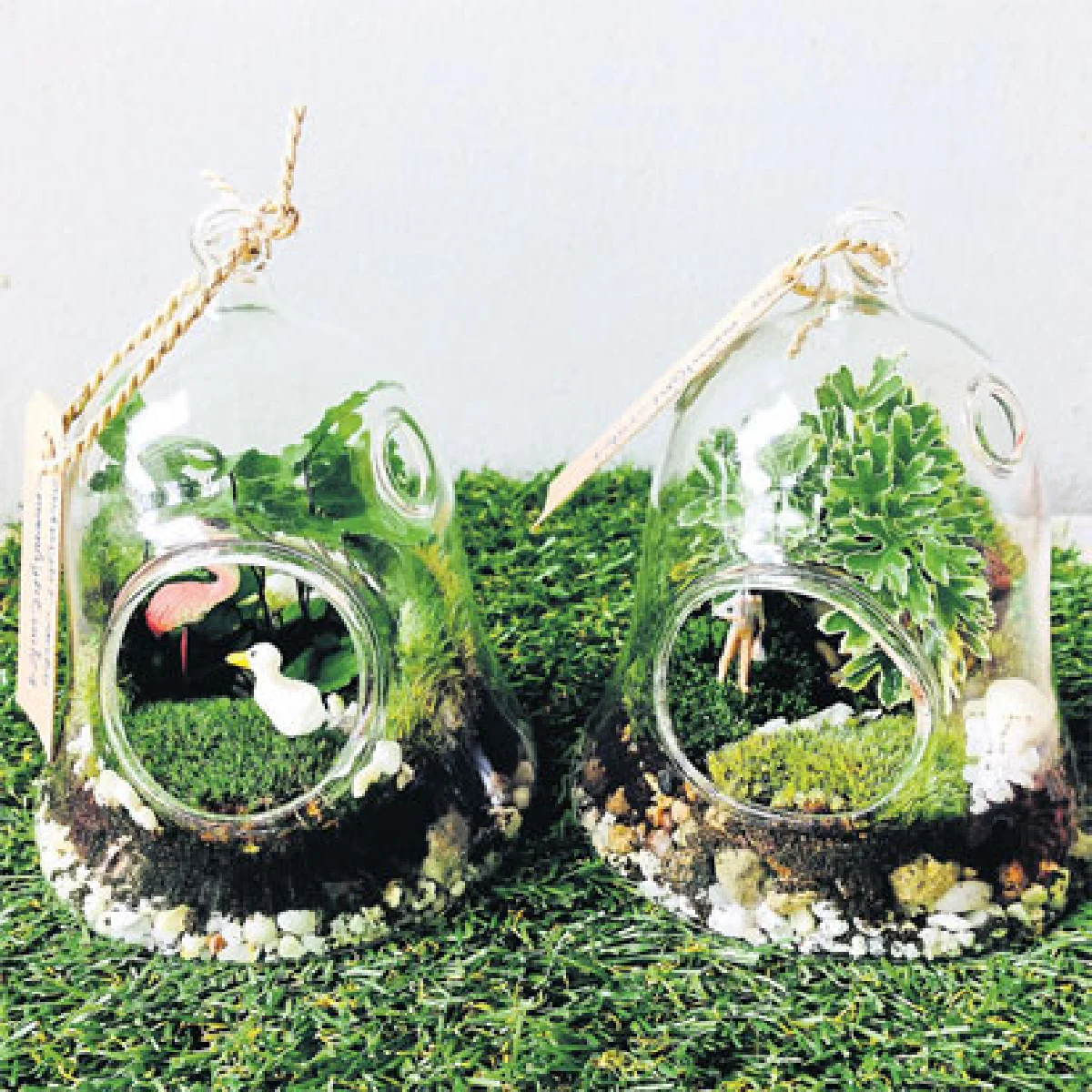 สวนจิ๋ว ปรุงฝัน และจินตนาการ