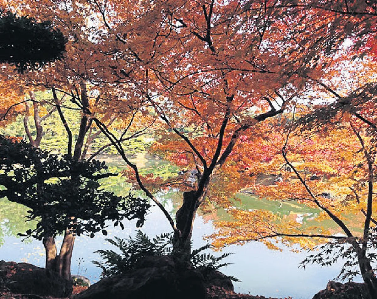 Omotenashi Shikoku 3