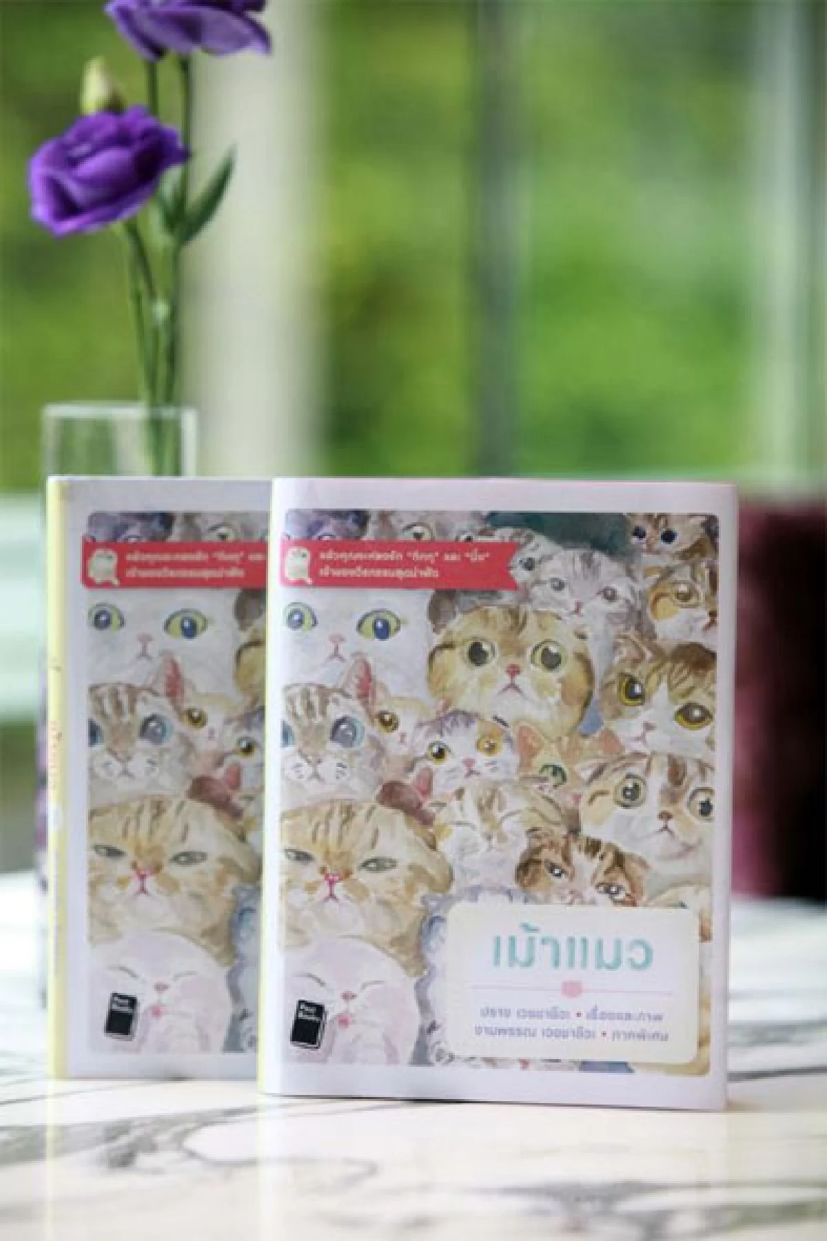 เม้าแมว หนังสือเล่มแรก ของ ปราง เวชชาชีวะ