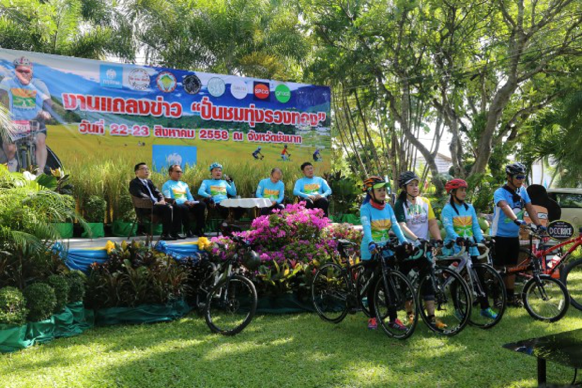 ชัยนาทสานต่อBikeForMomจัดปั่นชมทุ่งรวงทอง ชัยนาทสานต่อBikeForMomจัดปั่นชมทุ่งรวงทอง