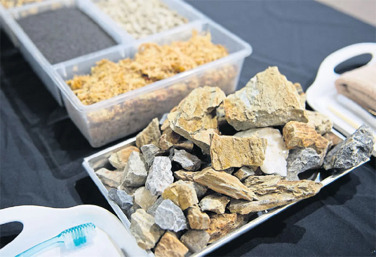 ไปเรียนจัดสวนขวดแก้วกันดีกว่า!