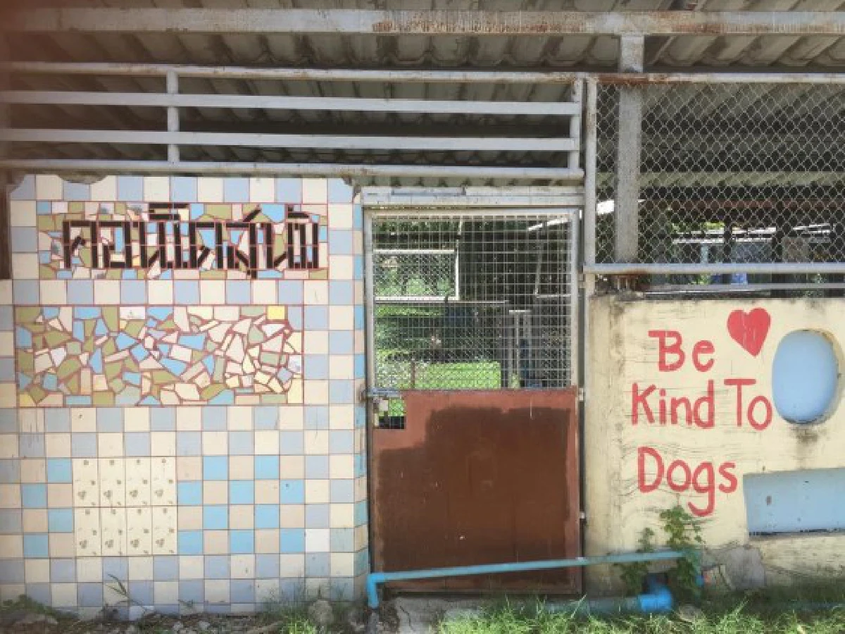 "วิกฤตสุนัขจรจัด"...เมื่อเรื่องหมาๆกลายเป็นวาระแห่งชาติ