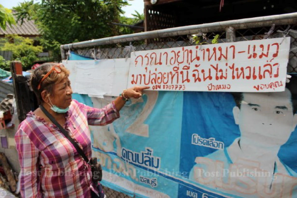 "วิกฤตสุนัขจรจัด"...เมื่อเรื่องหมาๆกลายเป็นวาระแห่งชาติ