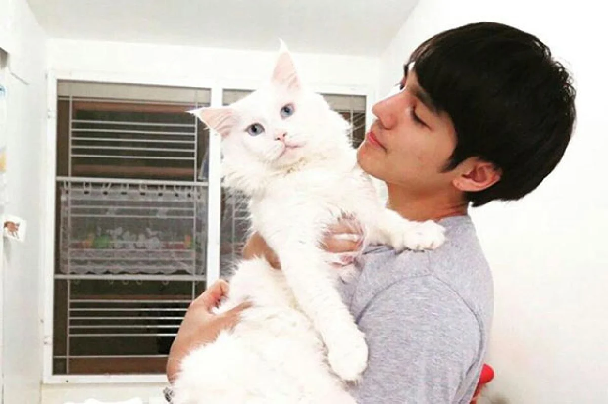 ผู้ชายรักแมว เรื่องน่ารักแบบแมนๆ