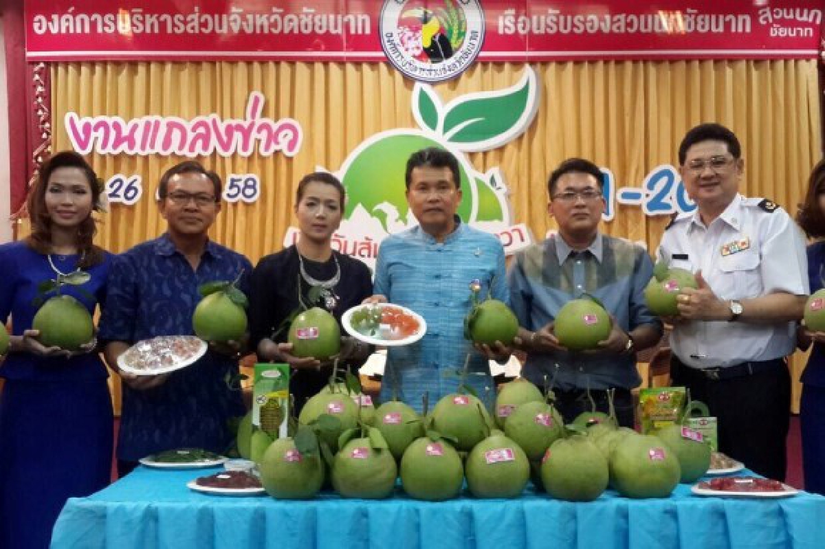 ชัยนาทชวนเที่ยวงานวันส้มโอขาวแตงกวา ชัยนาทชวนเที่ยวงานวันส้มโอขาวแตงกวา