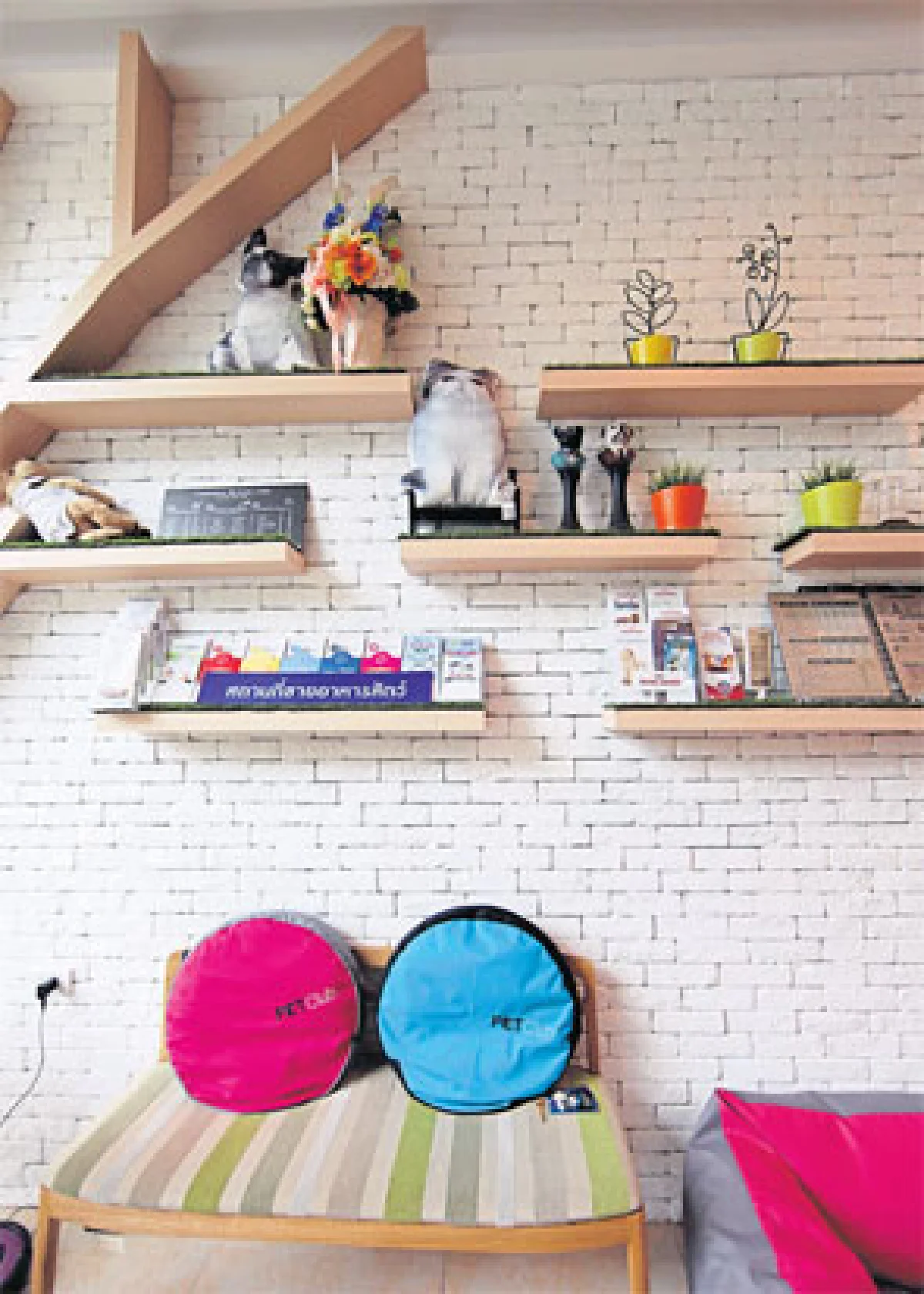 เพ็ท คลับ คลับเพื่อคนรักน้องหมา น้องเหมียว