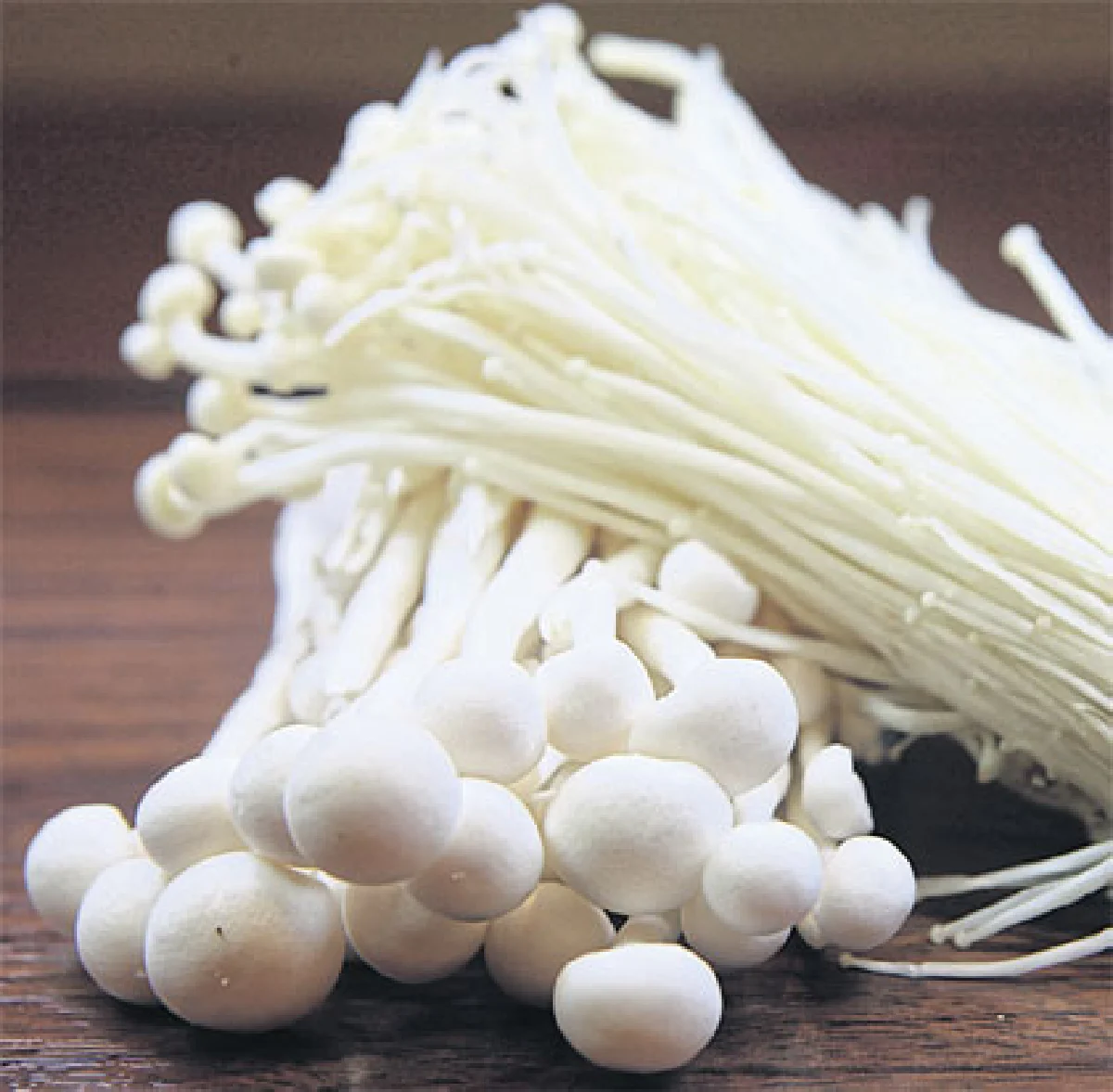 ‘น้ำแข็งเห็ด’ เพิ่มสุขภาพ ลดอ้วนสไตล์ญี่ปุ่น