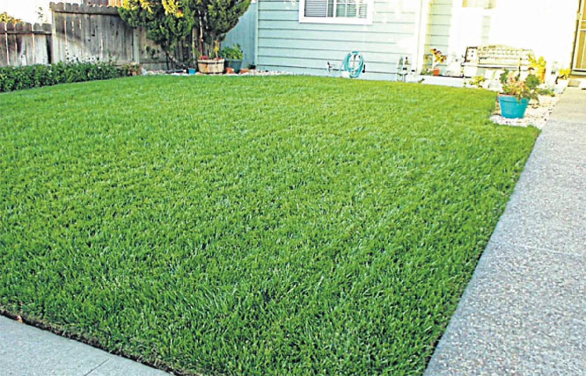 สนามหญ้าสวย บ้านก็ดูสวย