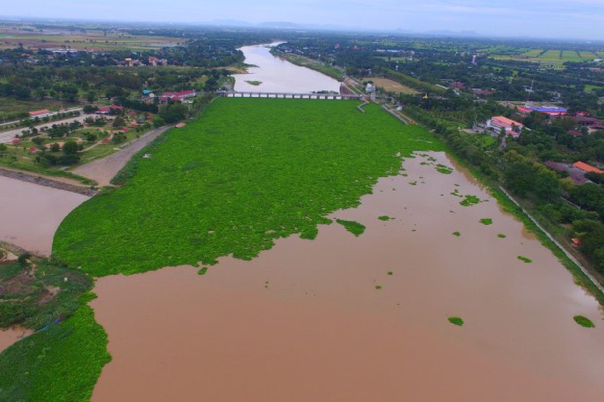 เขื่อนเจ้าพระยาน้ำลดใกล้จุดวิกฤตอีกรอบ เขื่อนเจ้าพระยาน้ำลดใกล้จุดวิกฤตอีกรอบ