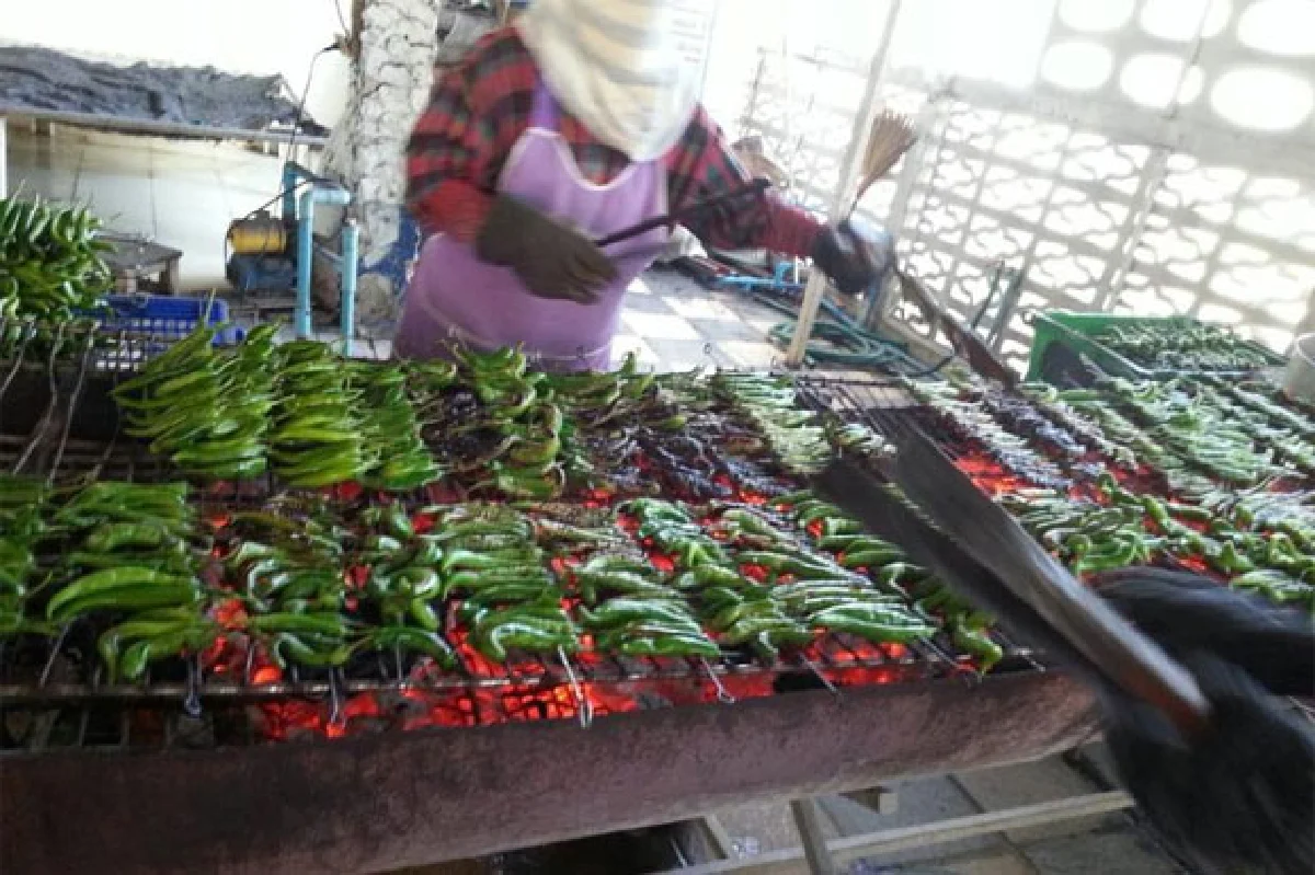 น้ำพริกหนุ่ม แม่มารศรี ของดีเมืองเชียงราย