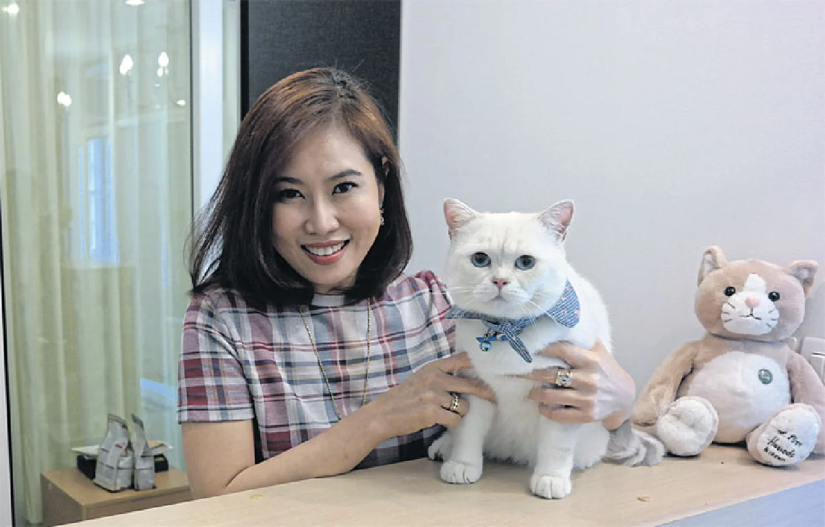 เนโกะ ลักซ์ชัวรี่ แคท โฮเต็ล โรงแรมหรูของเจ้าเหมียว