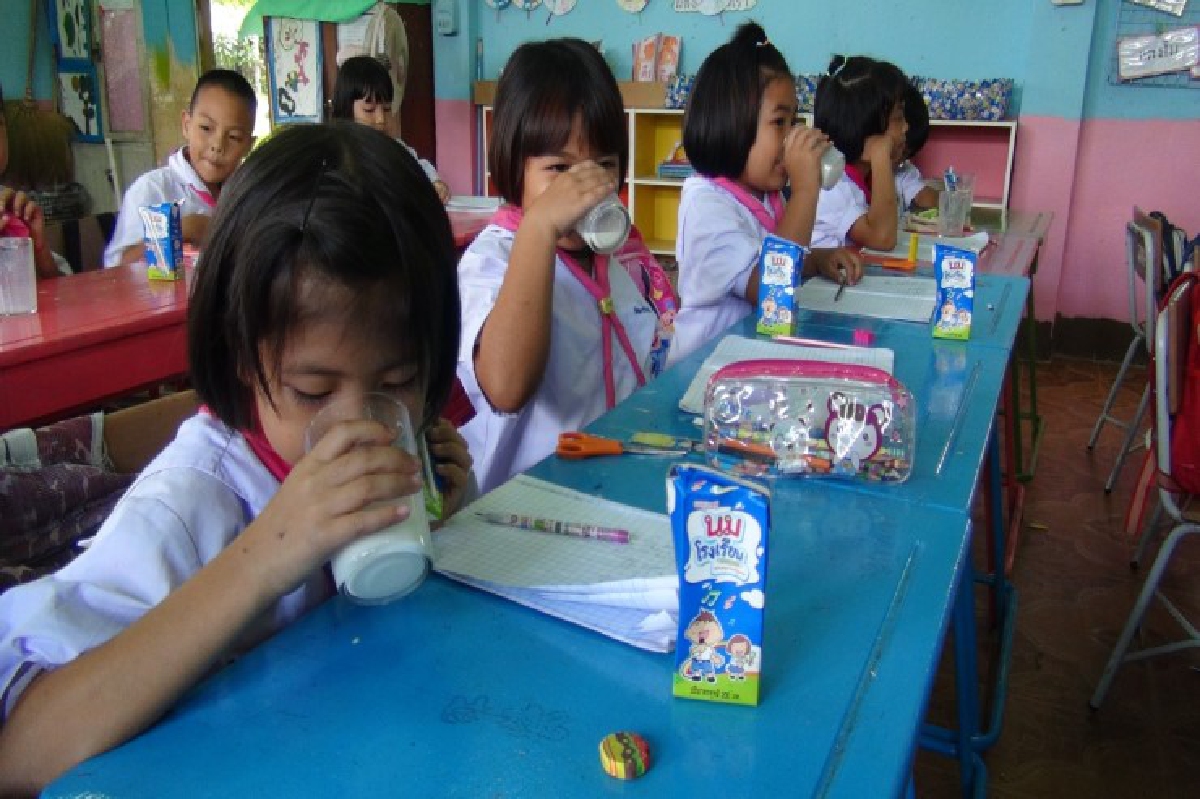 โรงเรียนตื่นนมบูดเร่งตรวจก่อนเด็กดื่ม โรงเรียนตื่นนมบูดเร่งตรวจก่อนเด็กดื่ม