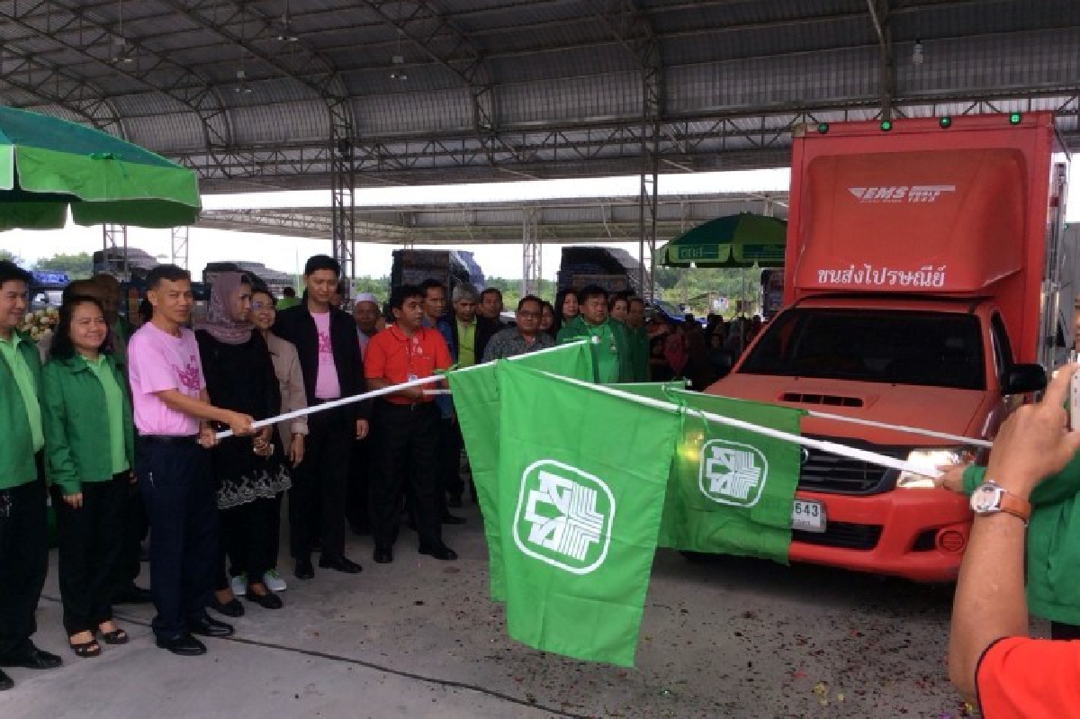 นราธิวาสปล่อยคาราวานลองกองแก้ราคาตกต่ำ นราธิวาสปล่อยคาราวานลองกองแก้ราคาตกต่ำ