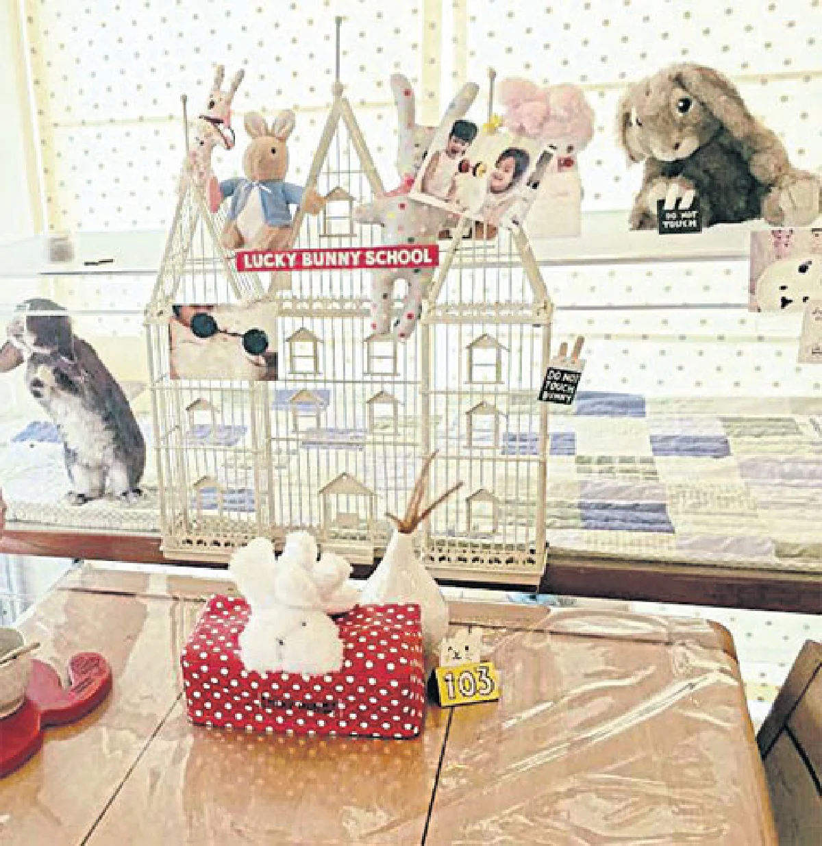 สัมผัสความน่ารัก ของกระต่ายที่ ลัคกี้ บันนี่ คาเฟ่ เรสเตอรองท์