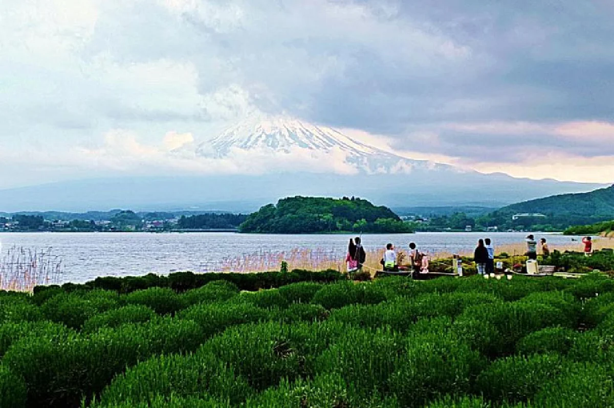 สุดยอด ประสบการณ์ชมฟูจิ เมืองคาวากุจิโกะ ประเทศญี่ปุ่น